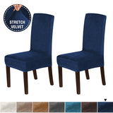 2x Velvet Dining Chair Cover Stretch Chair Covers for Dining Room Chair Slipcovers Chair Protectors Covers